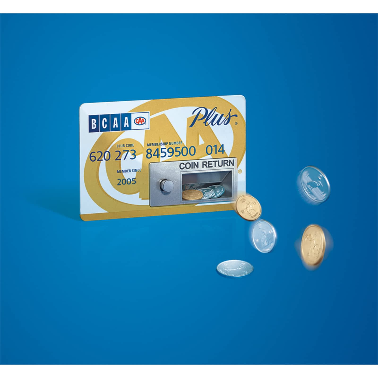 Photo credit: yellowpages.ca