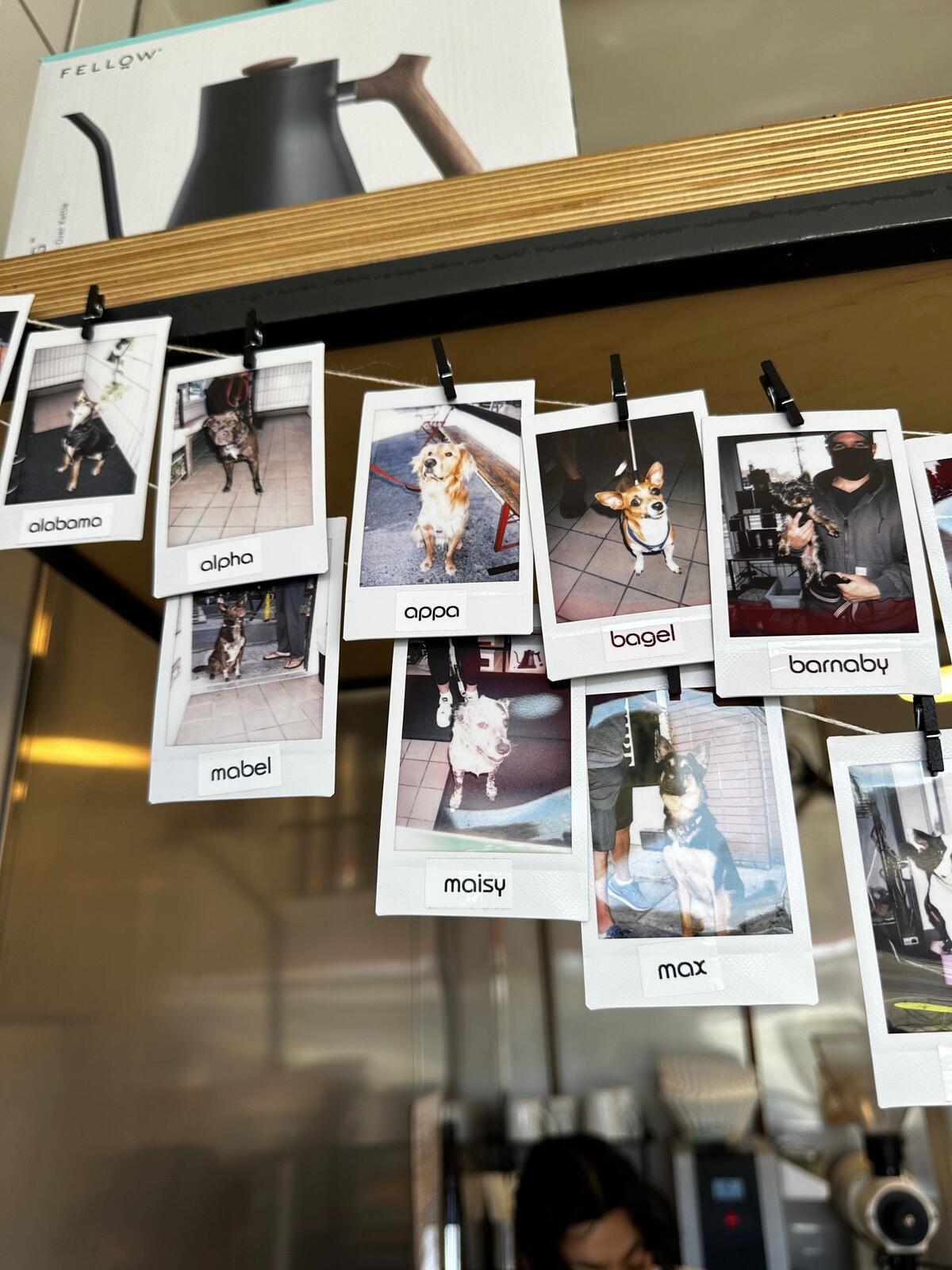 Photo credit: nextdoor