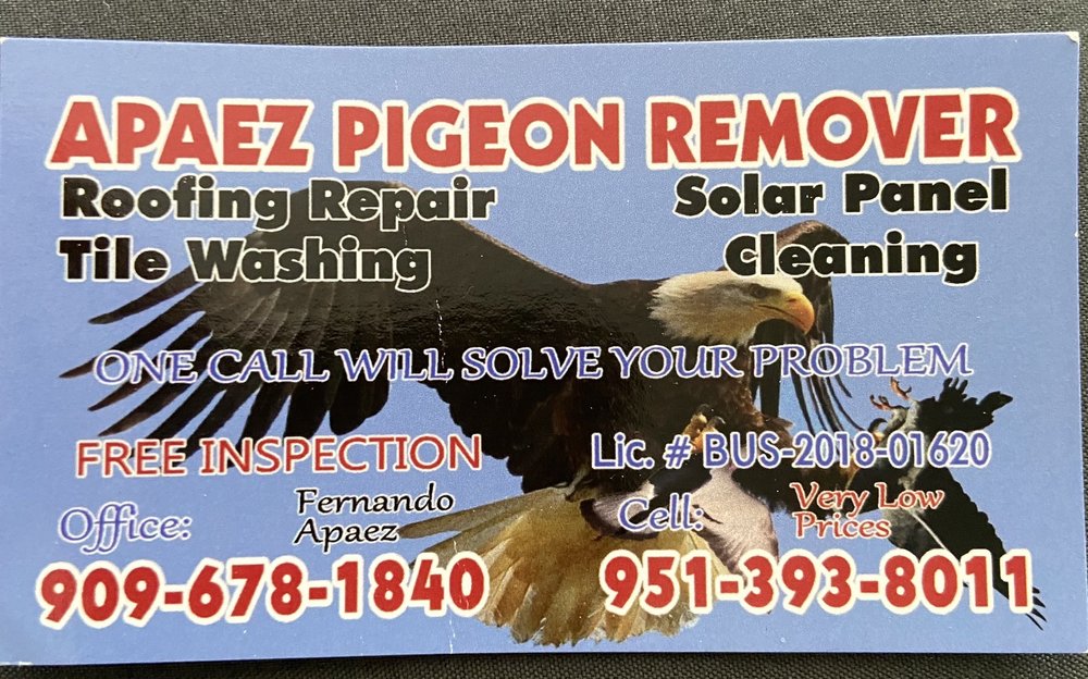 Apaez Pigeon Remover