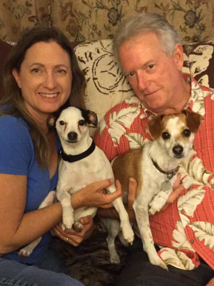 Colorado Springs Animal Services Anaheim