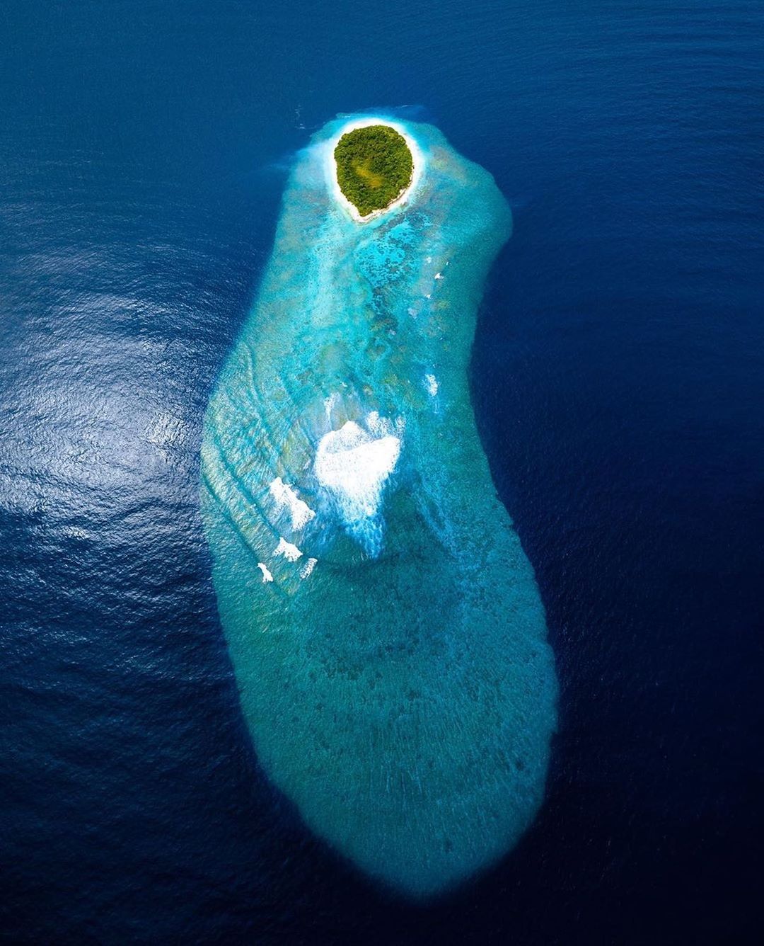 Photo credit: instagram