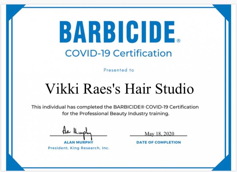 Vikki Rae's Hair Studio