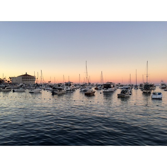 Photo credit: instagram