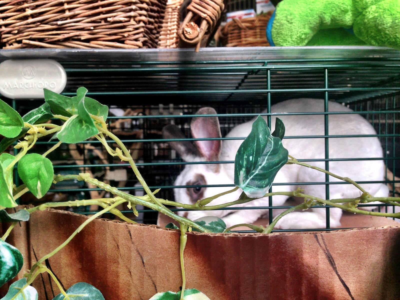 Photo credit: nextdoor