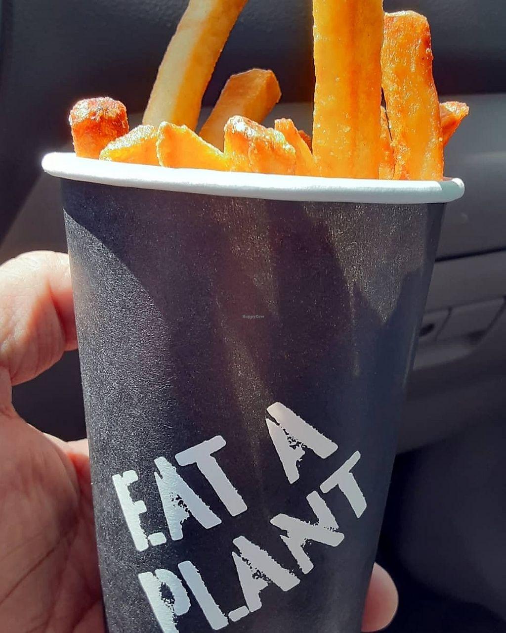 Photo credit: happycow