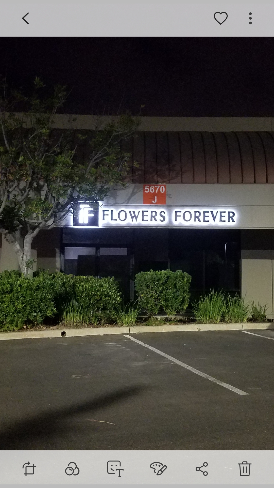 Flowers Forever