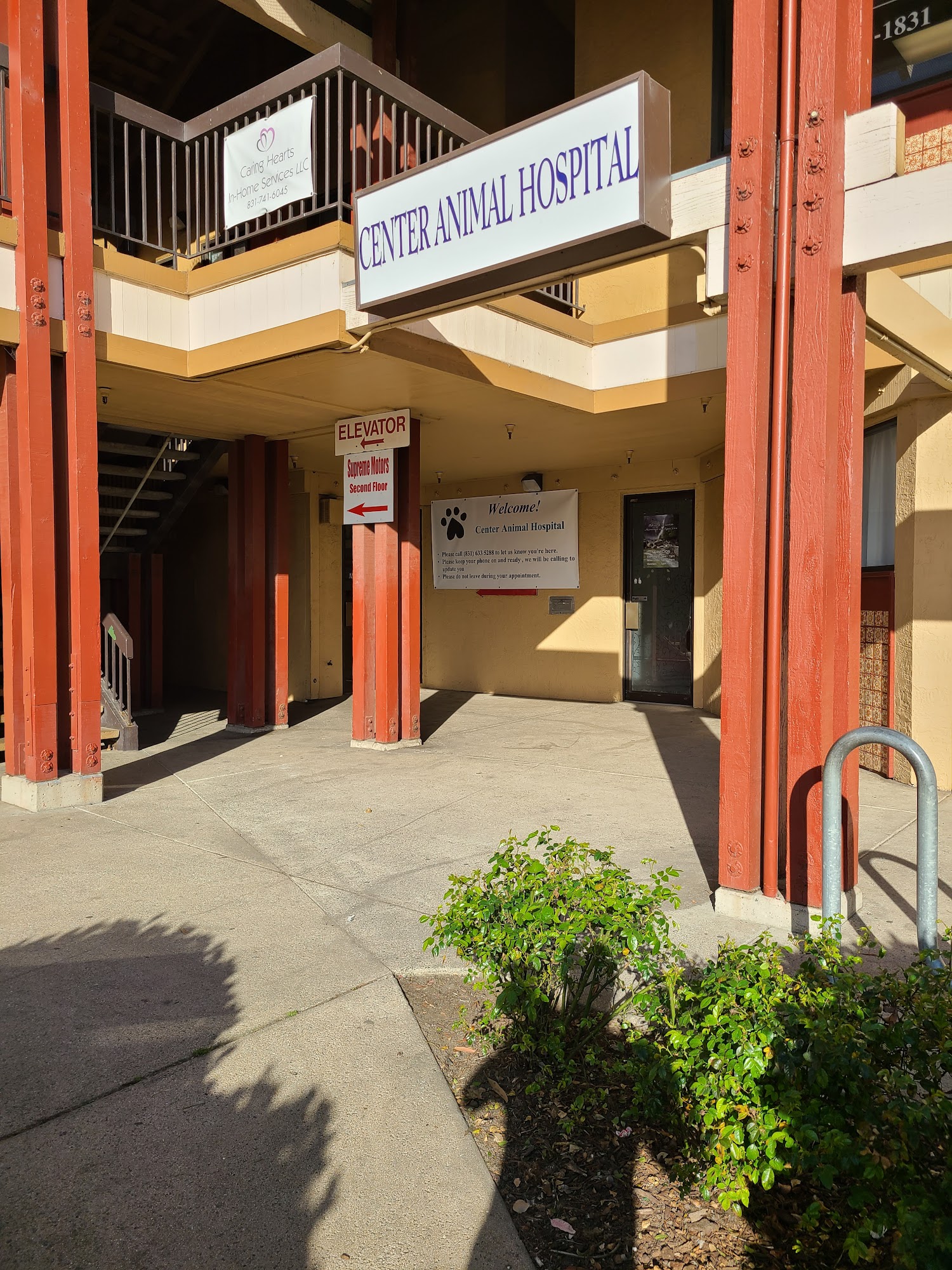 Wave Veterinary Medical Center