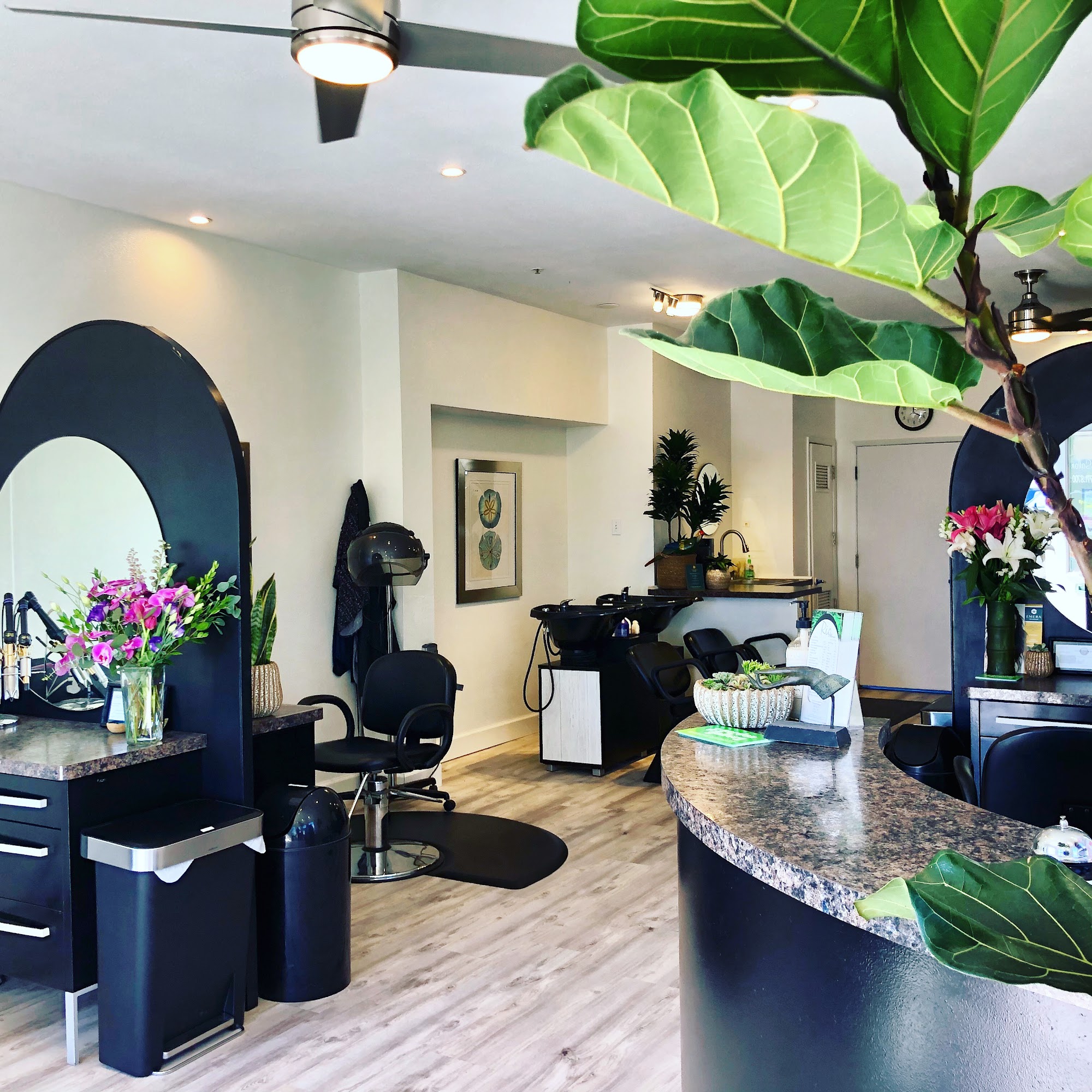 Rio Salon and Spa