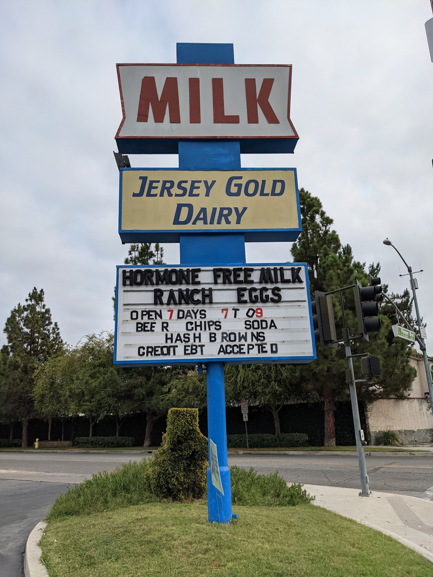 JERSEY GOLD DAIRY
