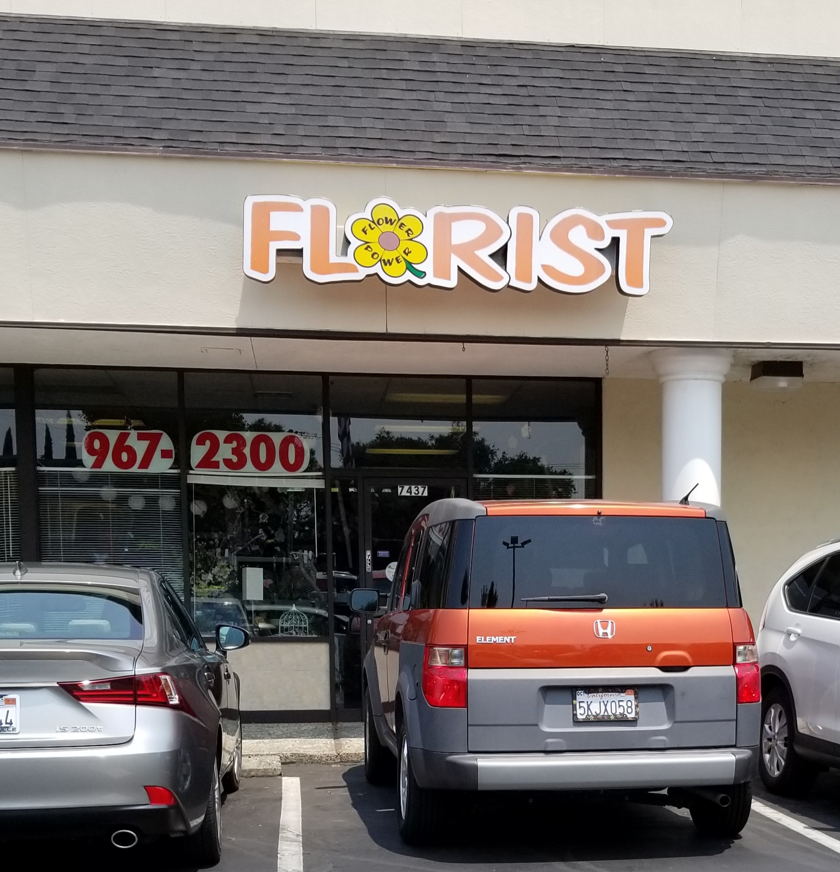 Flower Power Florist and Gifts
