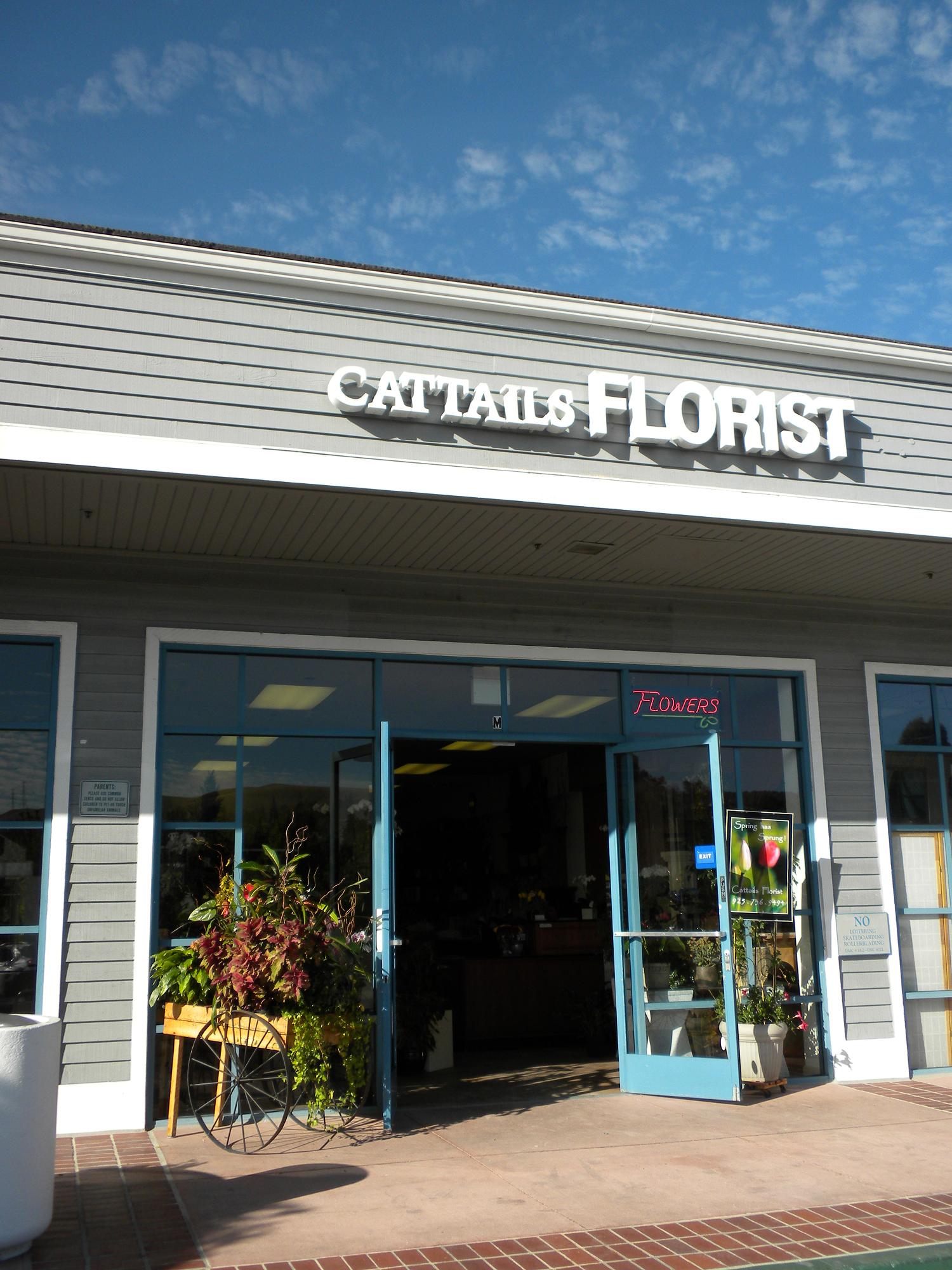 Cattails Florist