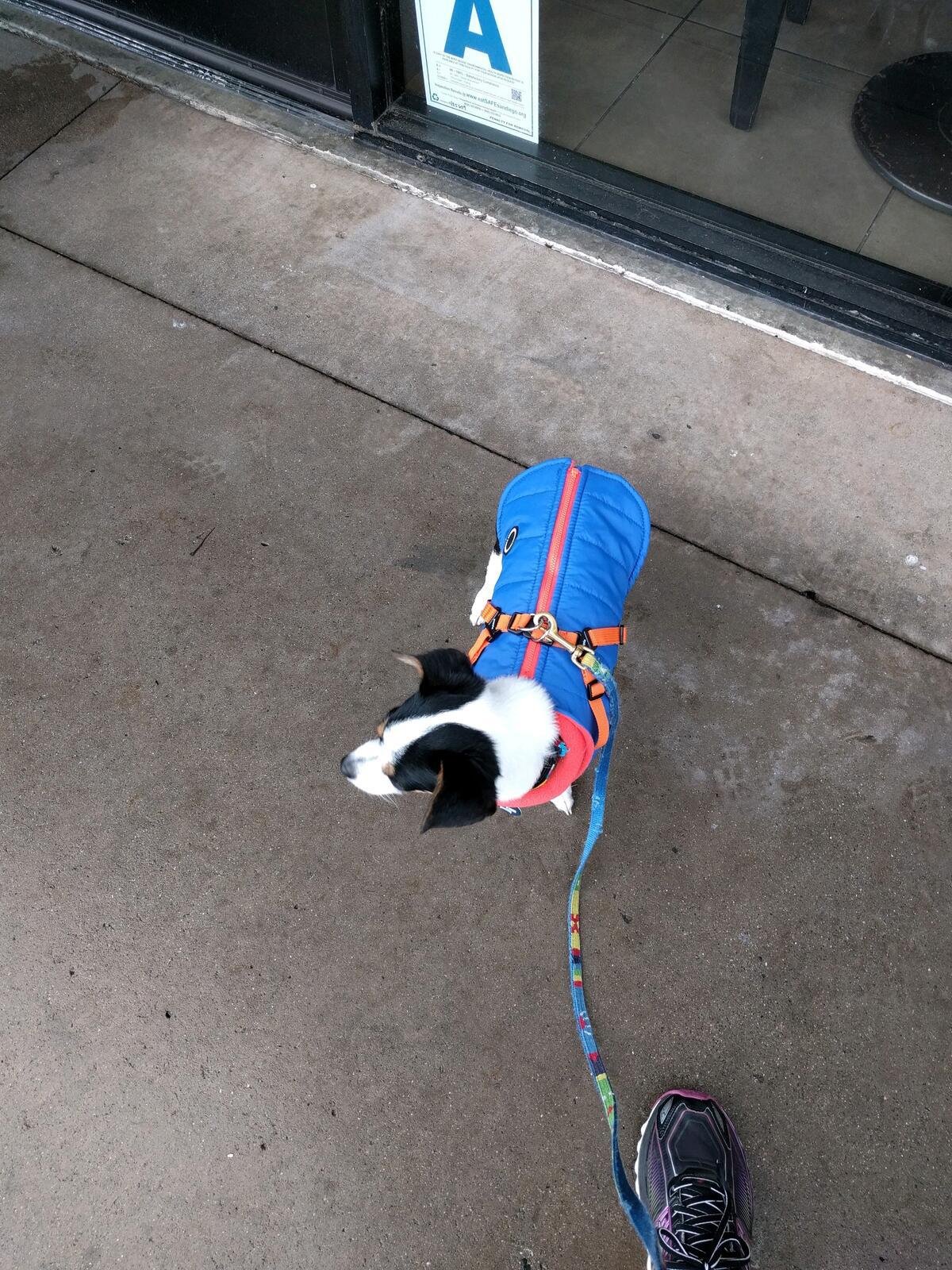Photo credit: nextdoor