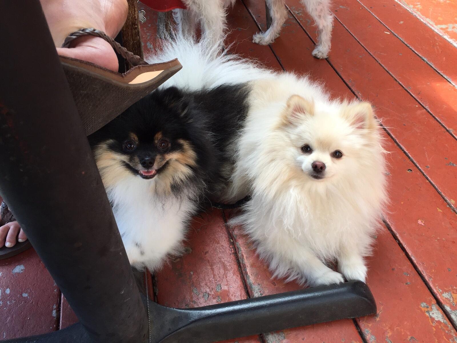 Photo credit: nextdoor