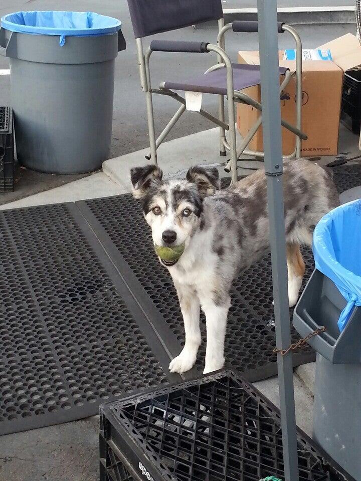 Photo credit: nextdoor