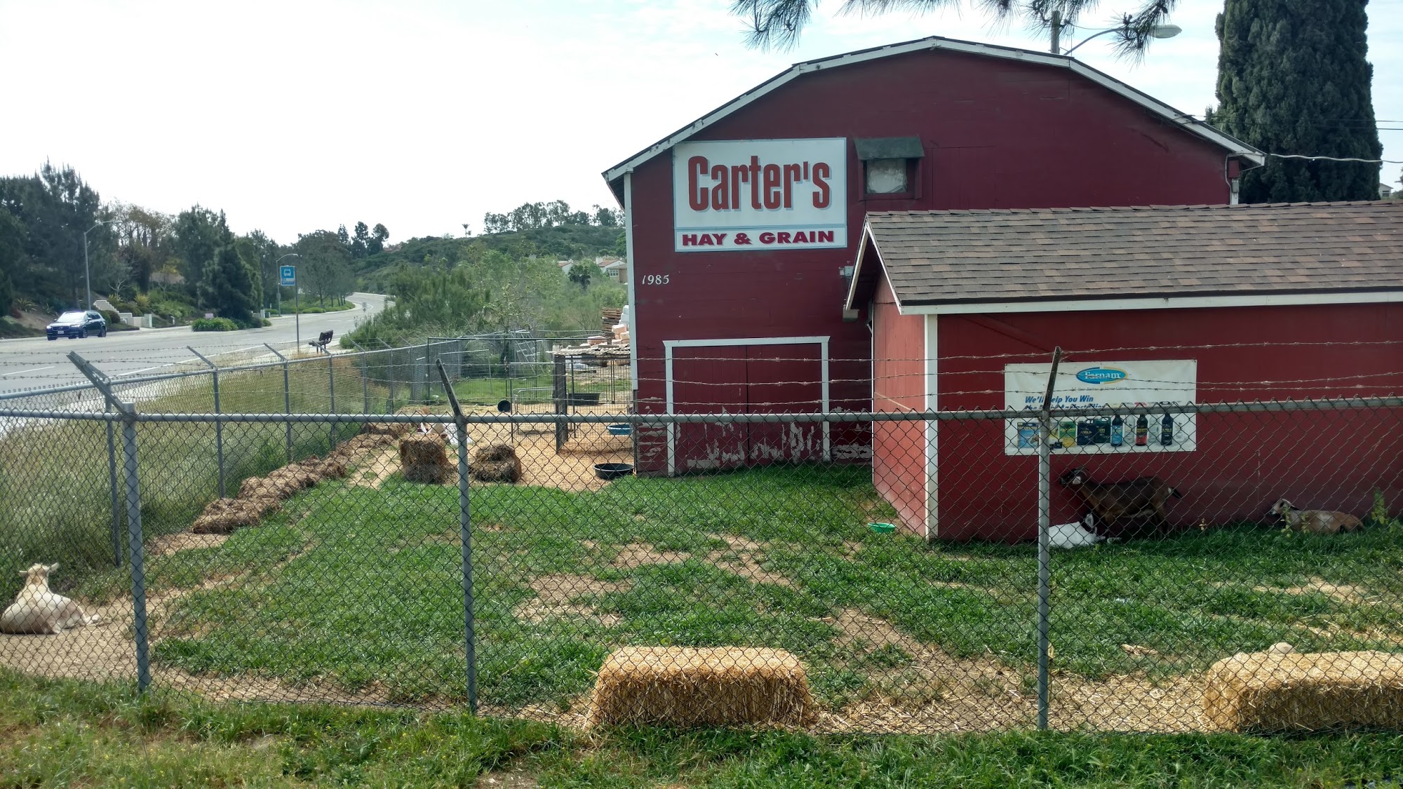 Carter's Hay & Grain