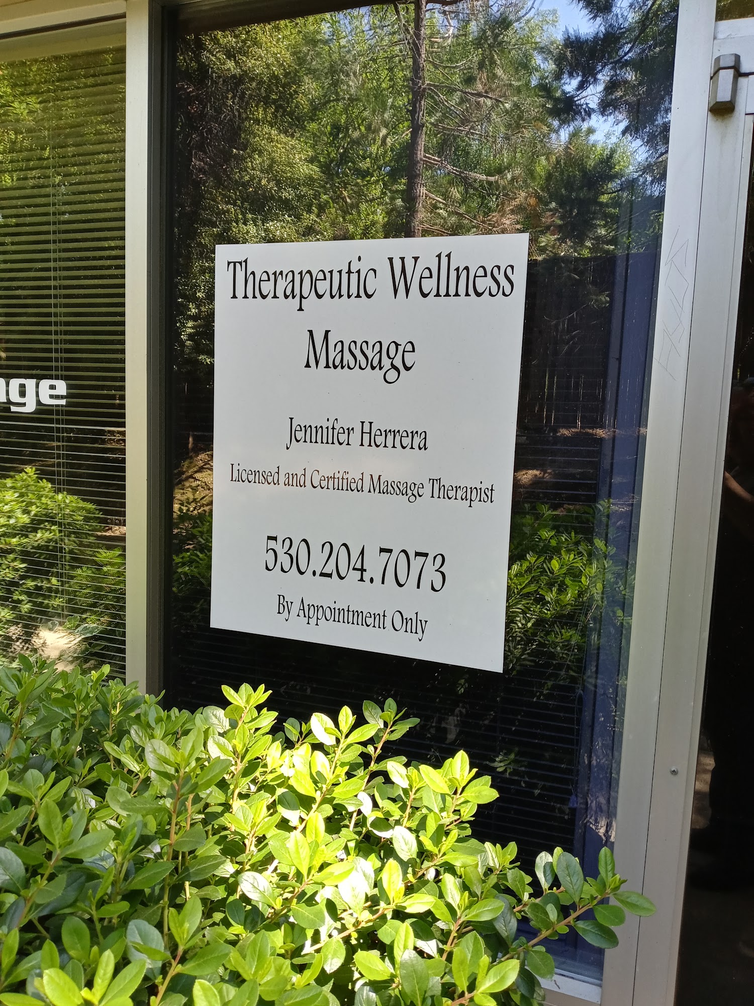 Therapeutic Wellness Massage