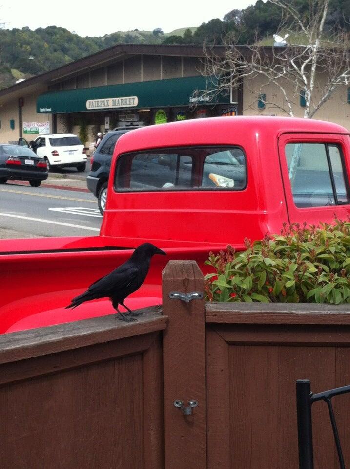 Photo credit: nextdoor