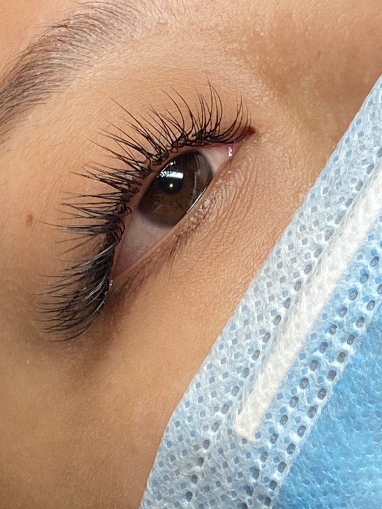 Hannah Lash & Brows