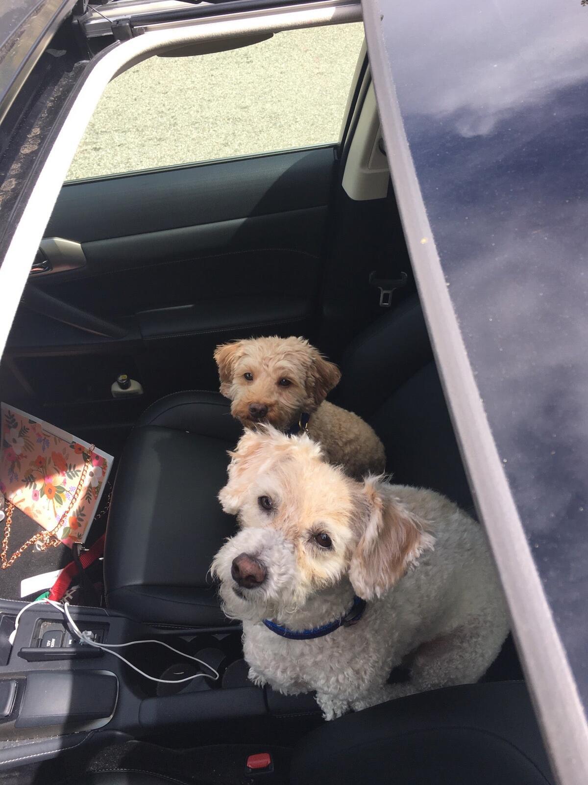 Photo credit: nextdoor