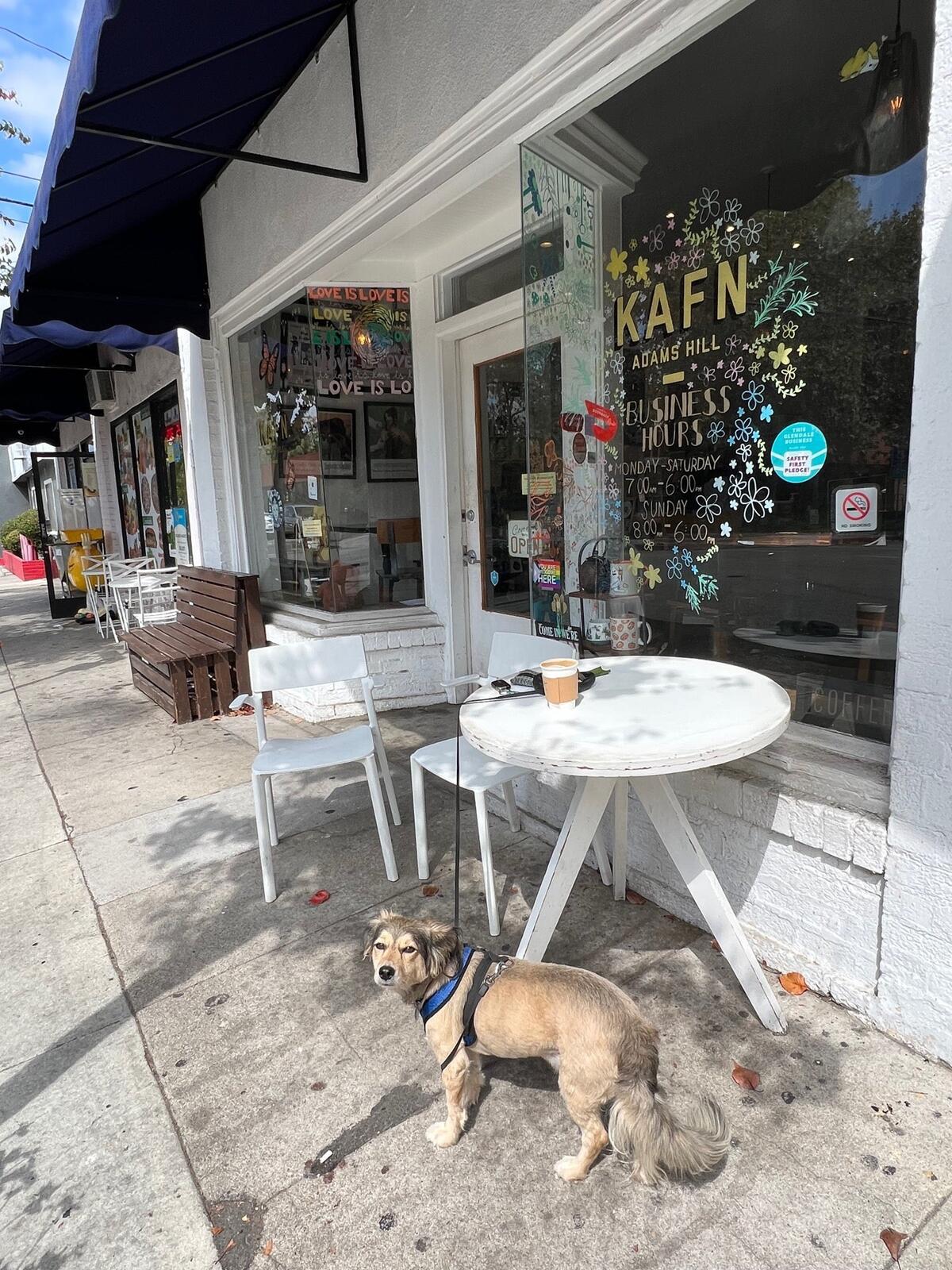 Photo credit: nextdoor