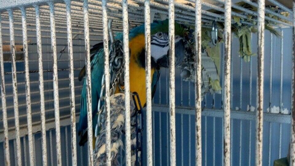 Photo credit: nextdoor