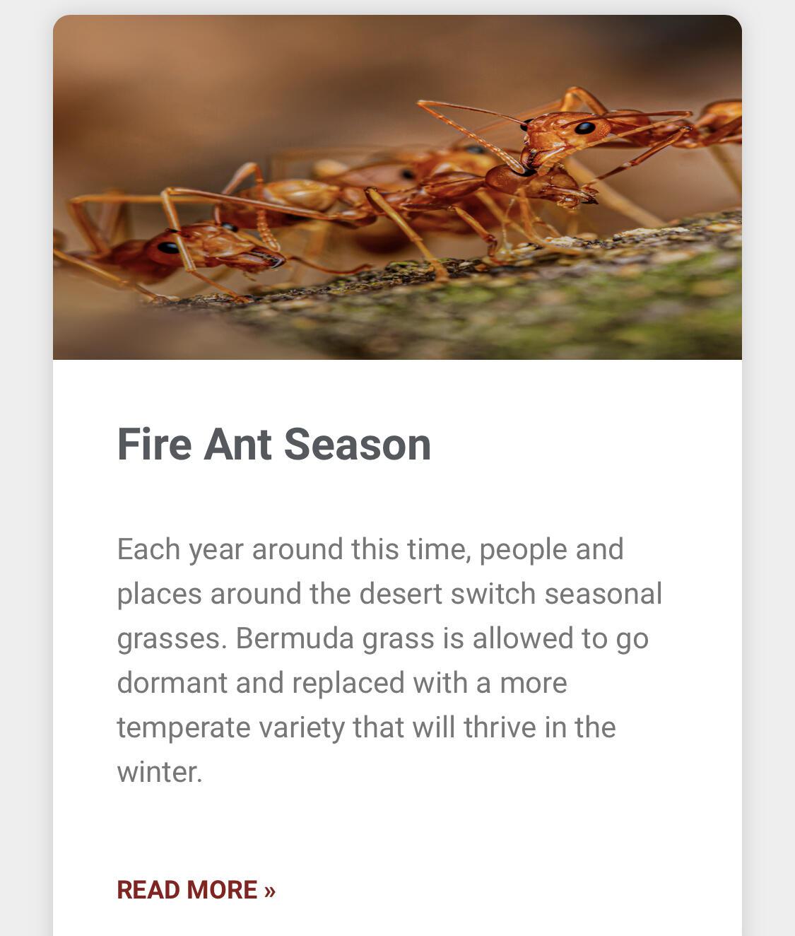 Photo credit: nextdoor