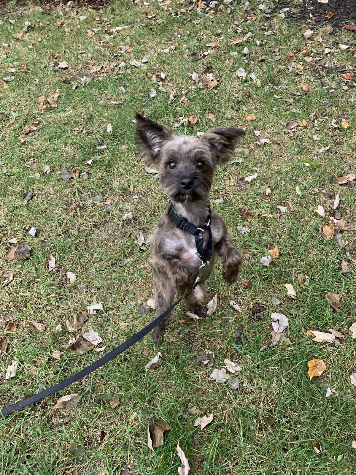 Photo credit: nextdoor