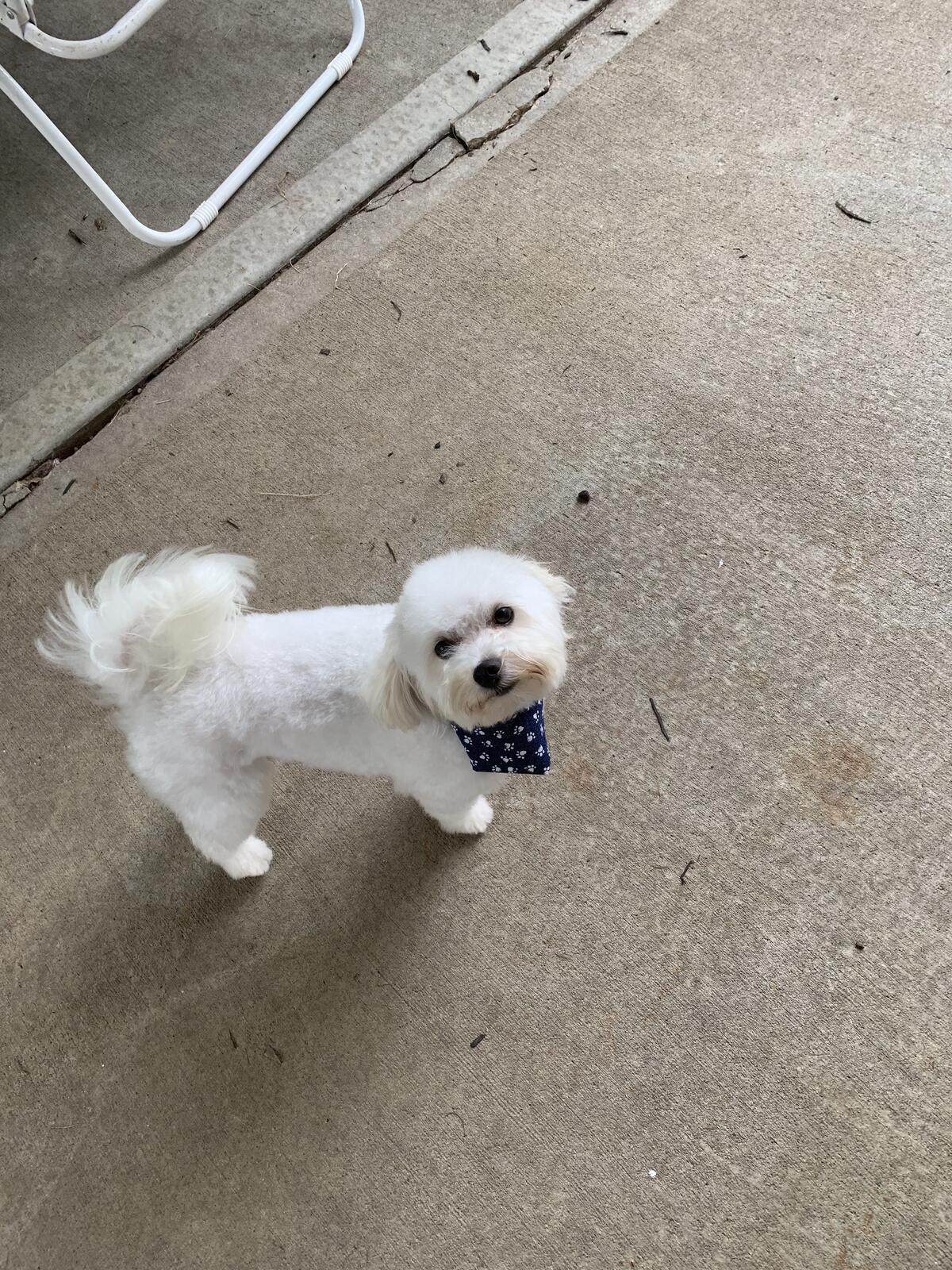 Photo credit: nextdoor