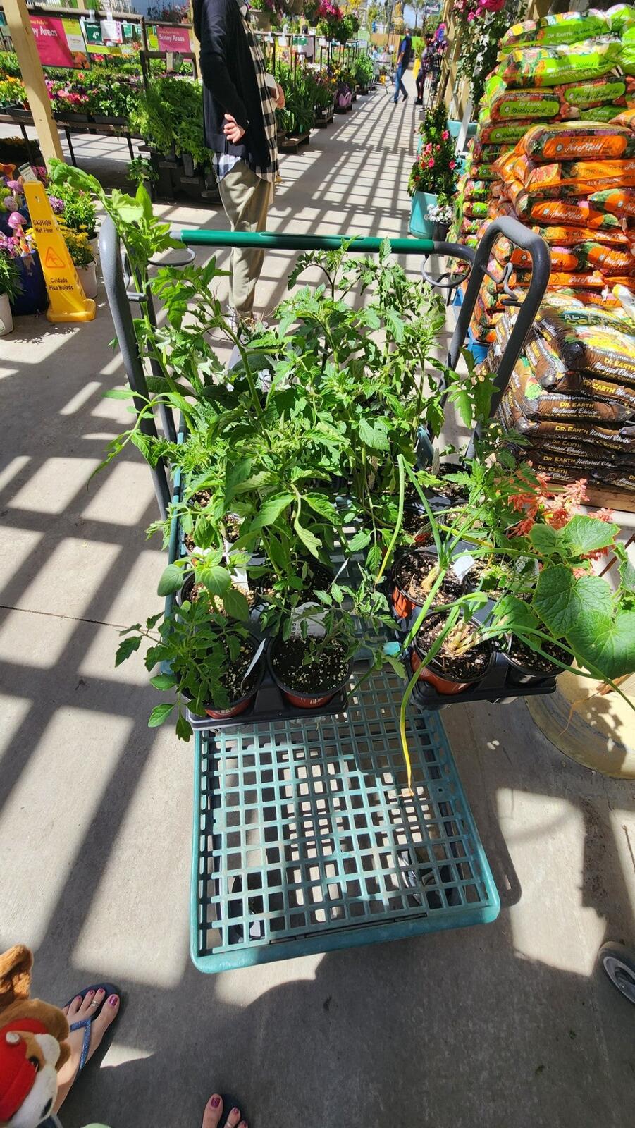 Photo credit: nextdoor