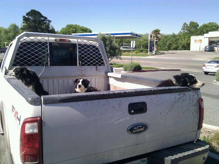 Photo credit: nextdoor