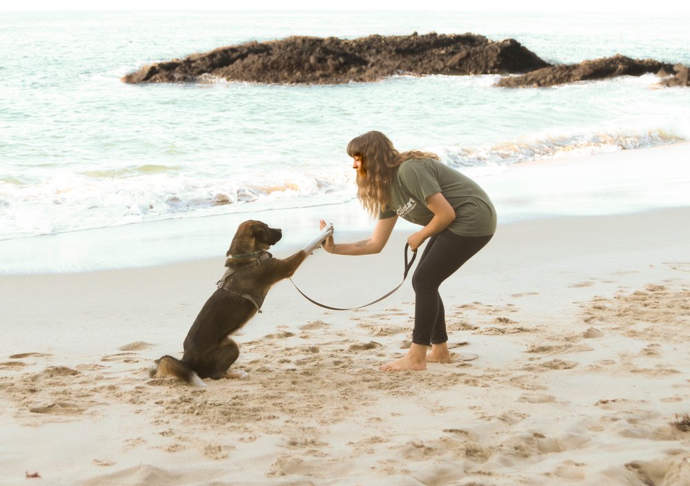 Photo credit: 