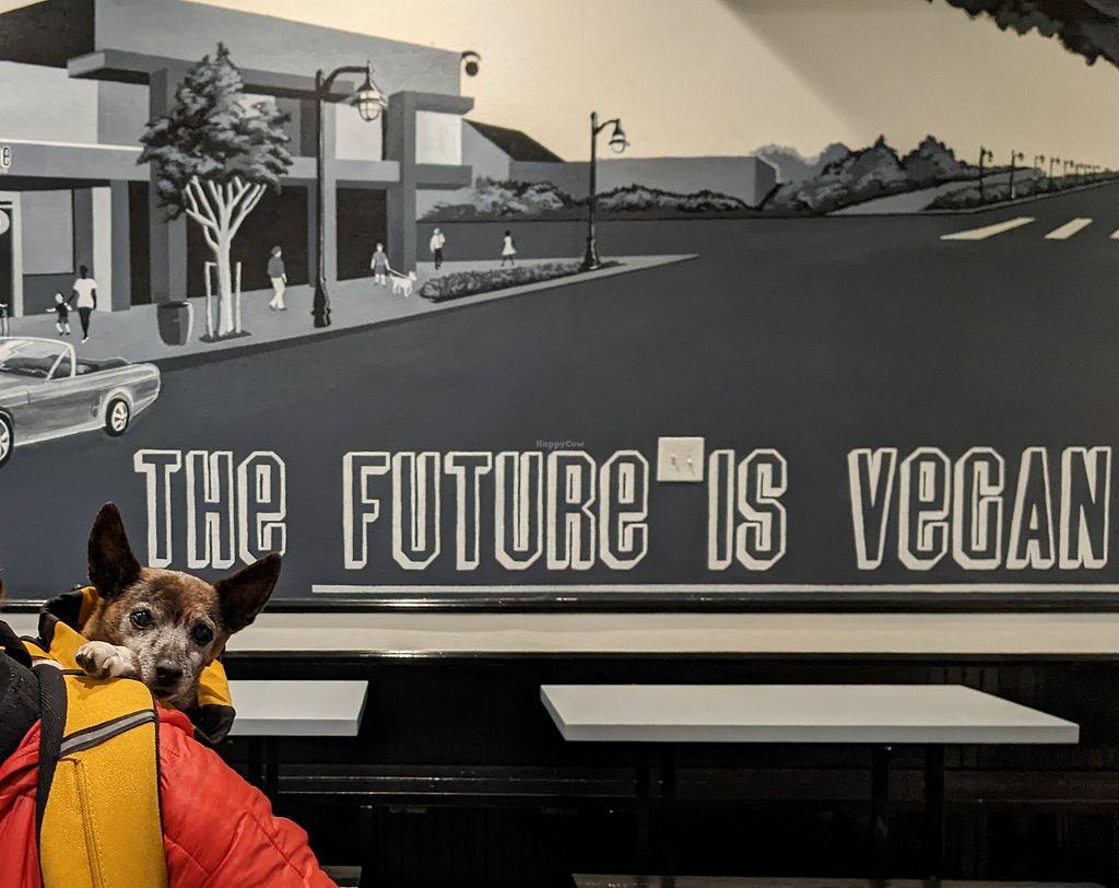 Photo credit: happycow