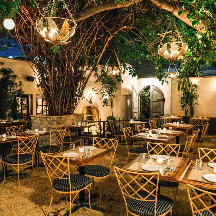 Photo credit: opentable