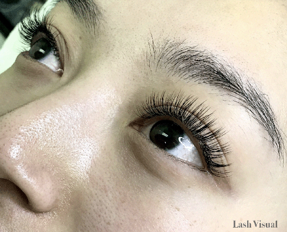 Lash Visual