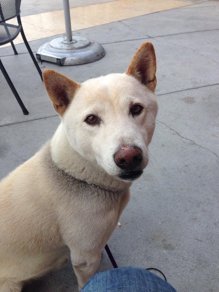 Photo credit: nextdoor