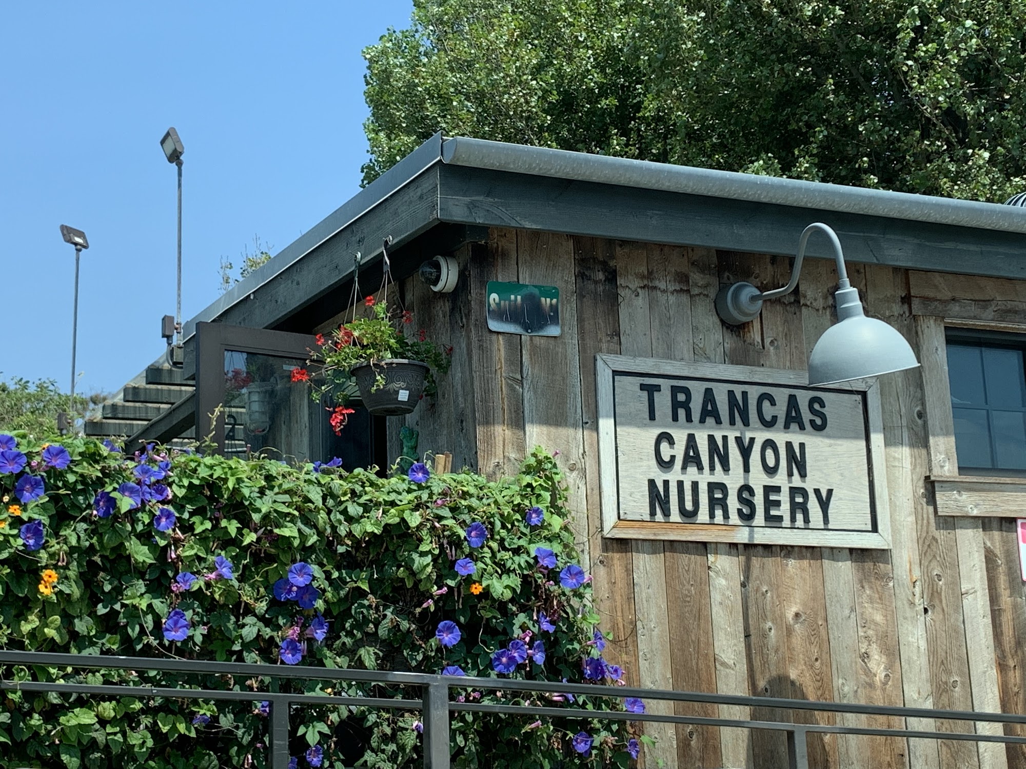 Trancas Canyon Nursery | Best Nursery in Malibu