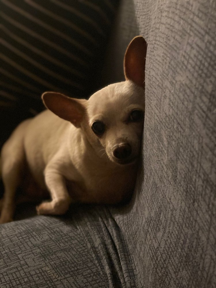 Photo credit: 