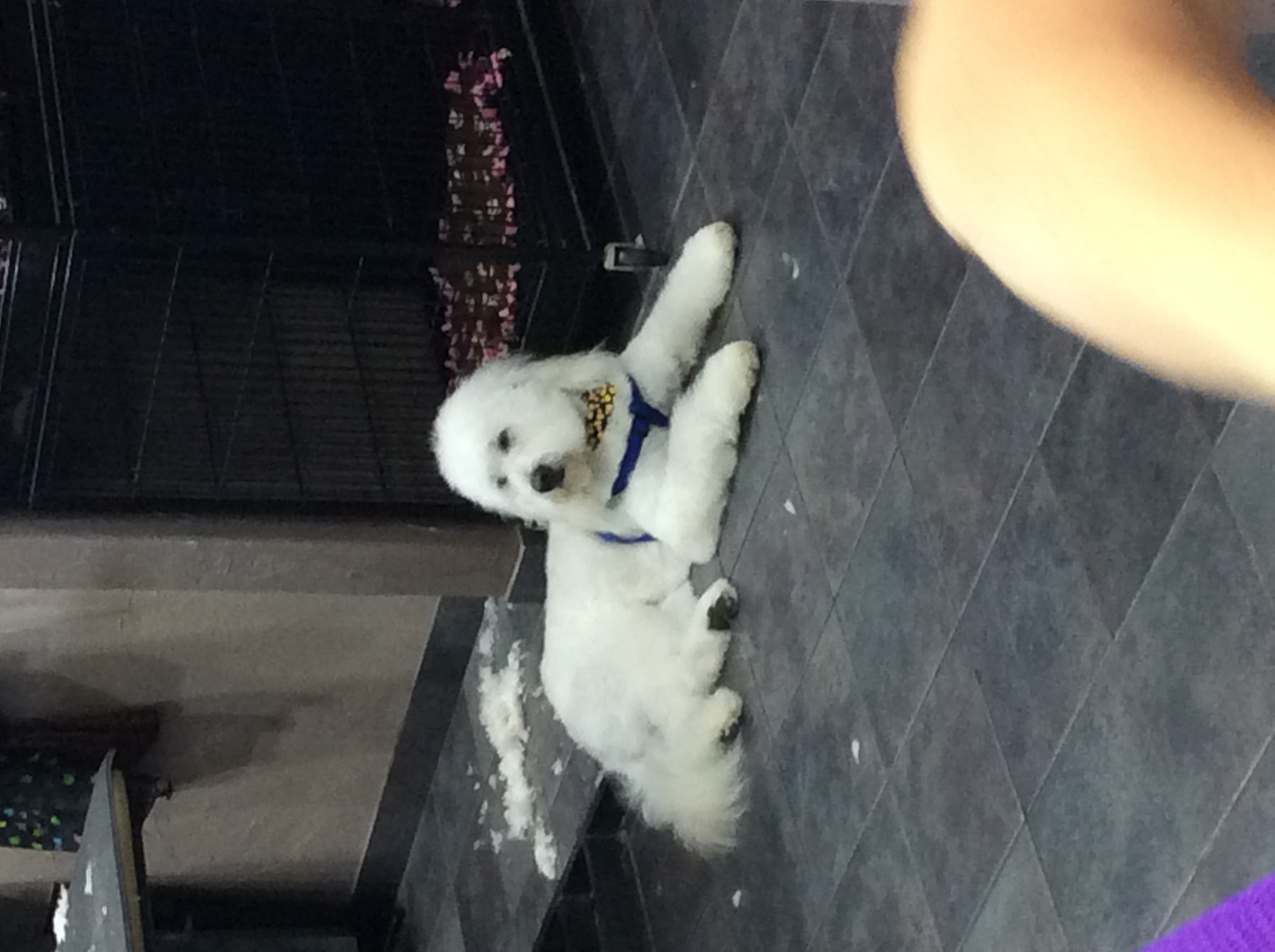 Photo credit: yellowpages