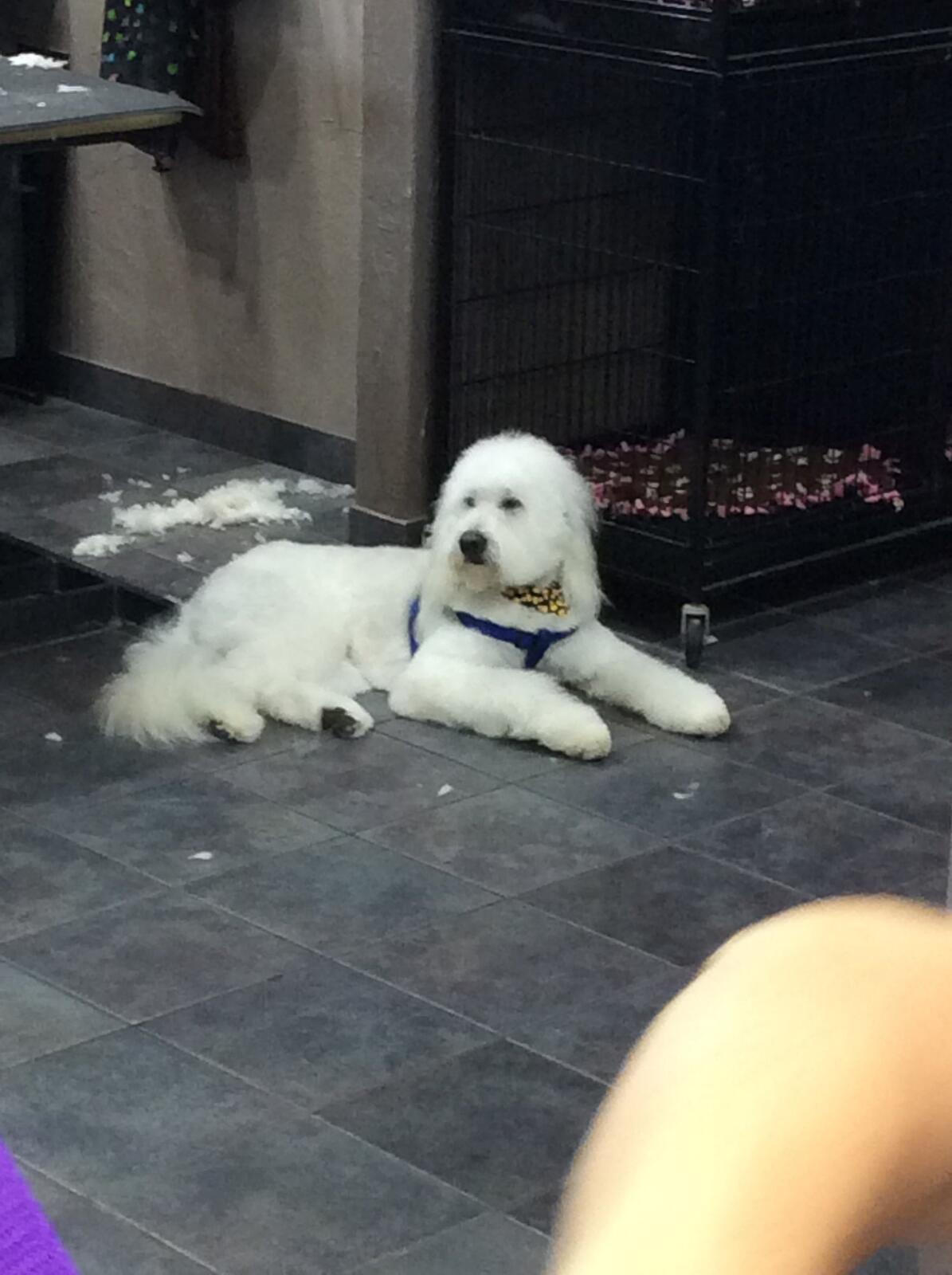 Photo credit: nextdoor