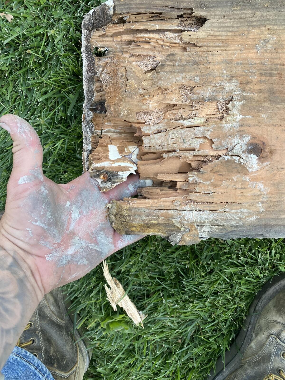 Photo credit: nextdoor