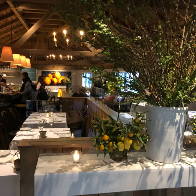 Photo credit: opentable