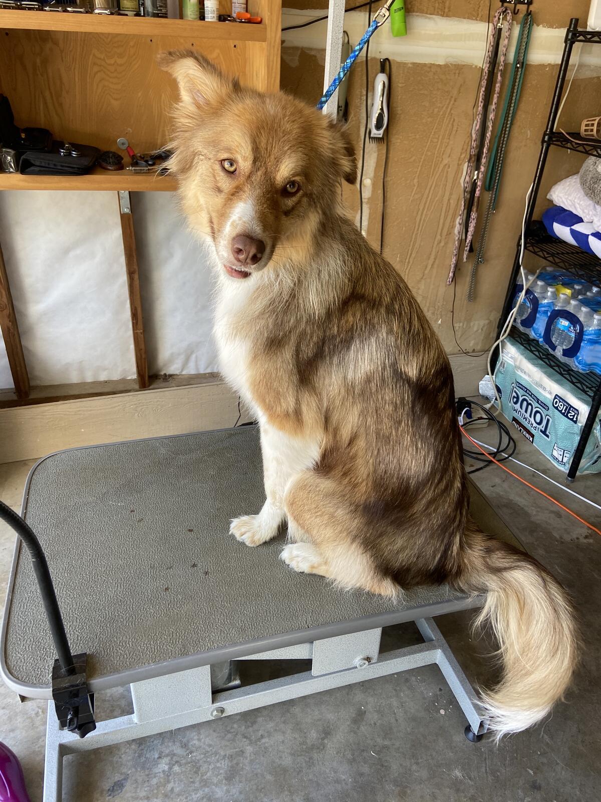 Photo credit: nextdoor