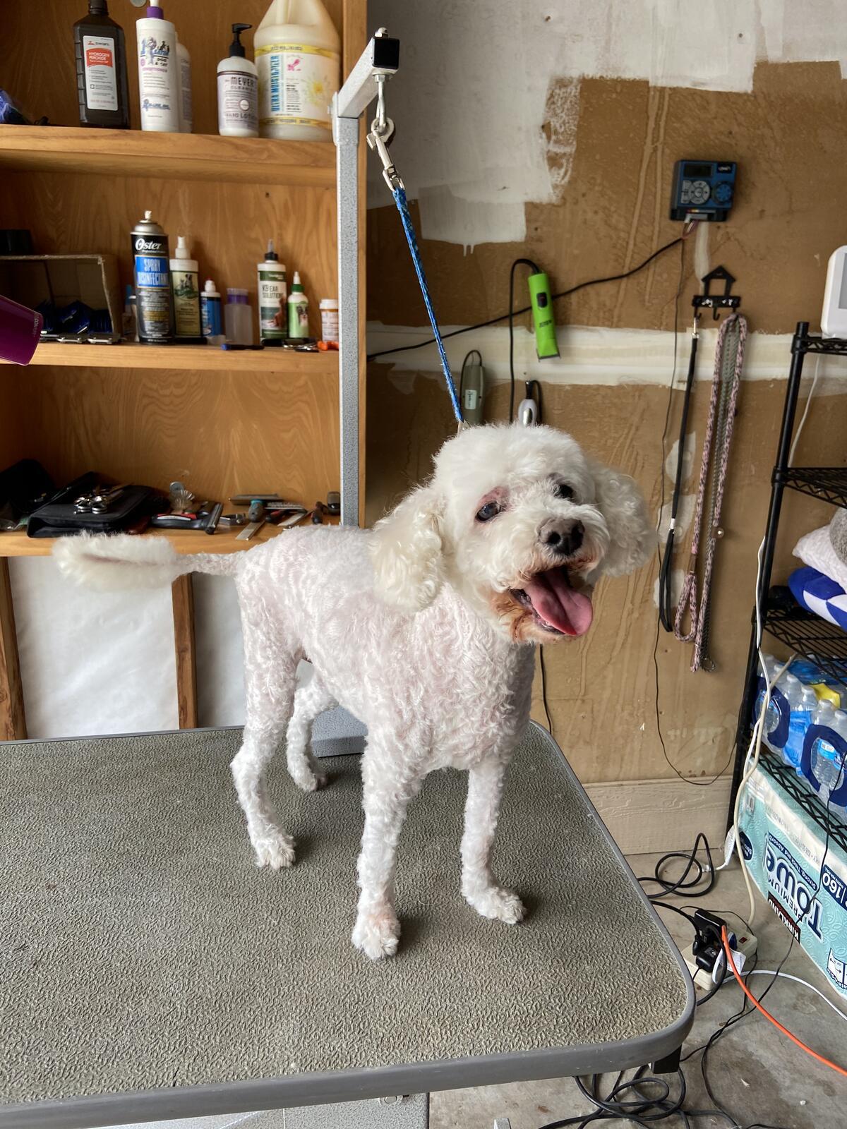 Photo credit: nextdoor