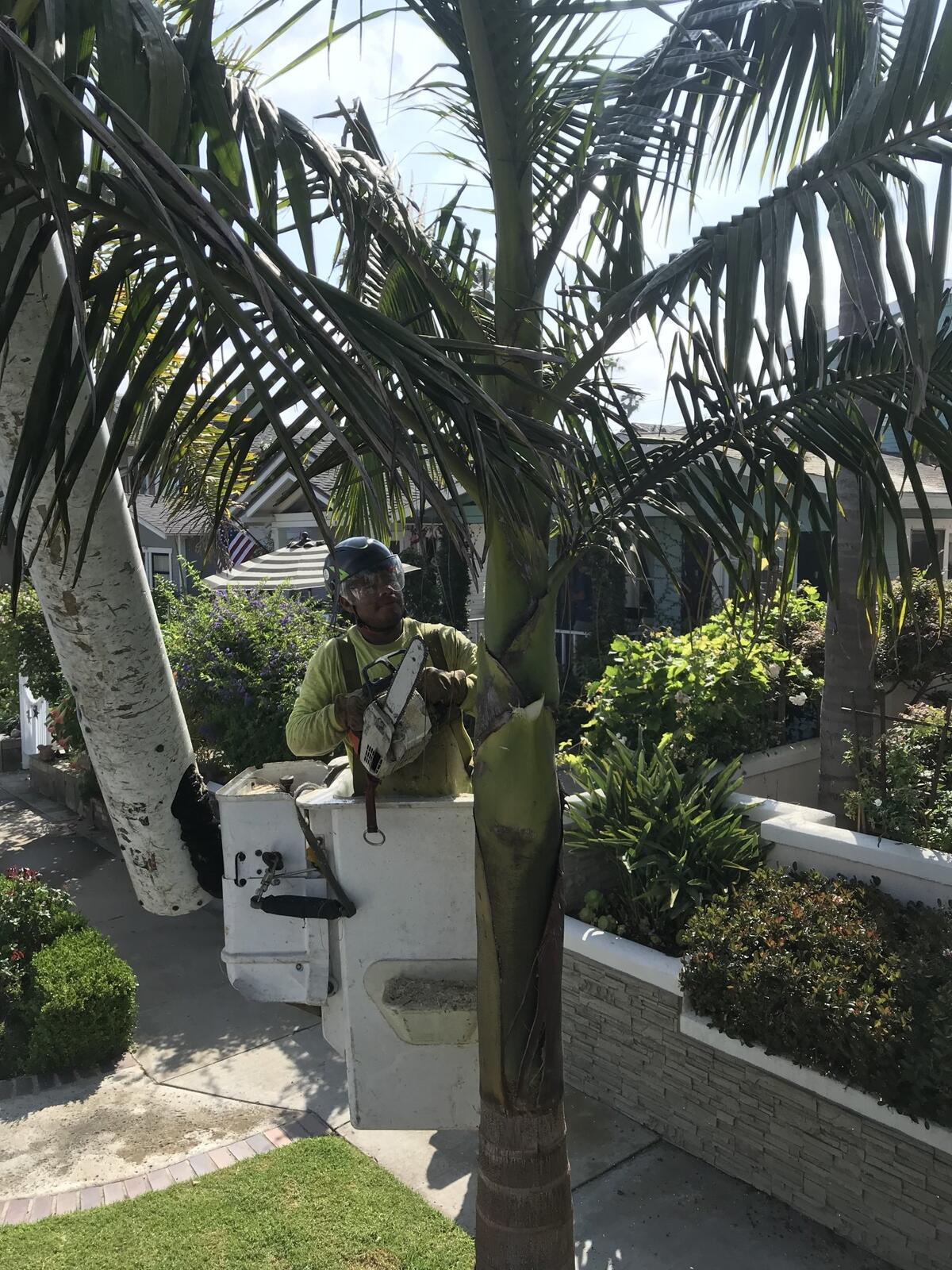 Photo credit: nextdoor