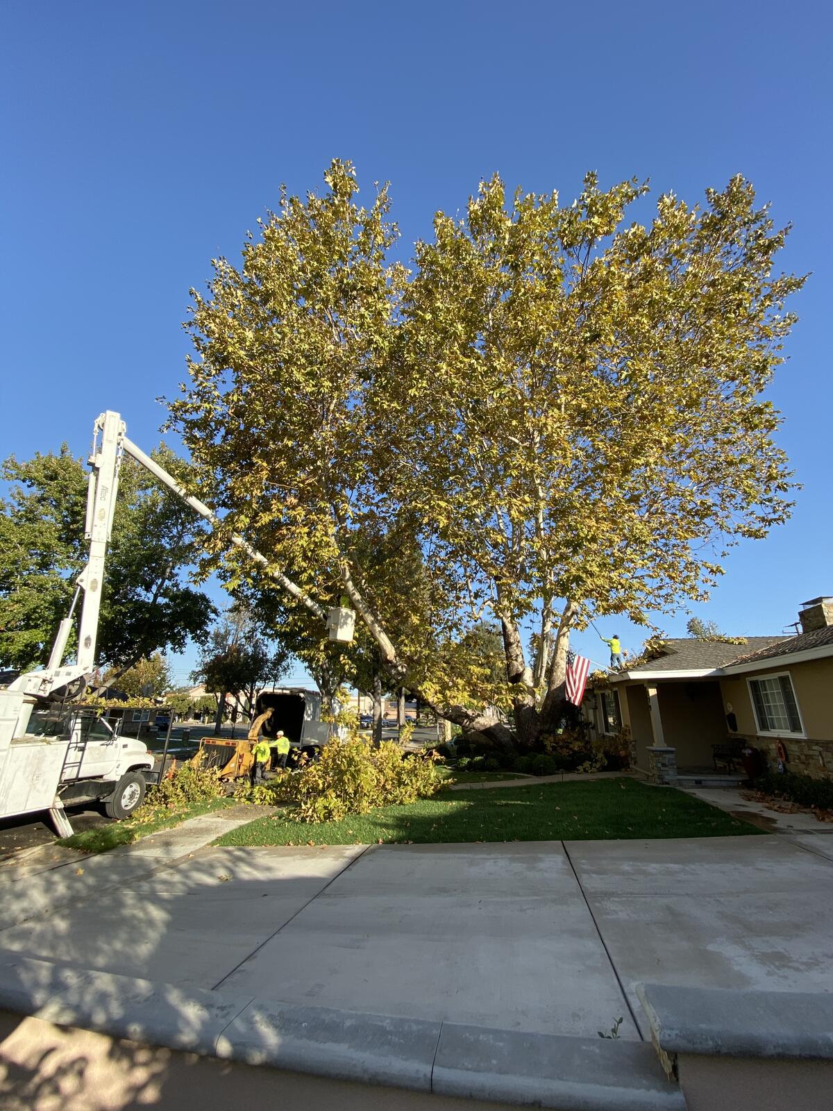 Photo credit: nextdoor