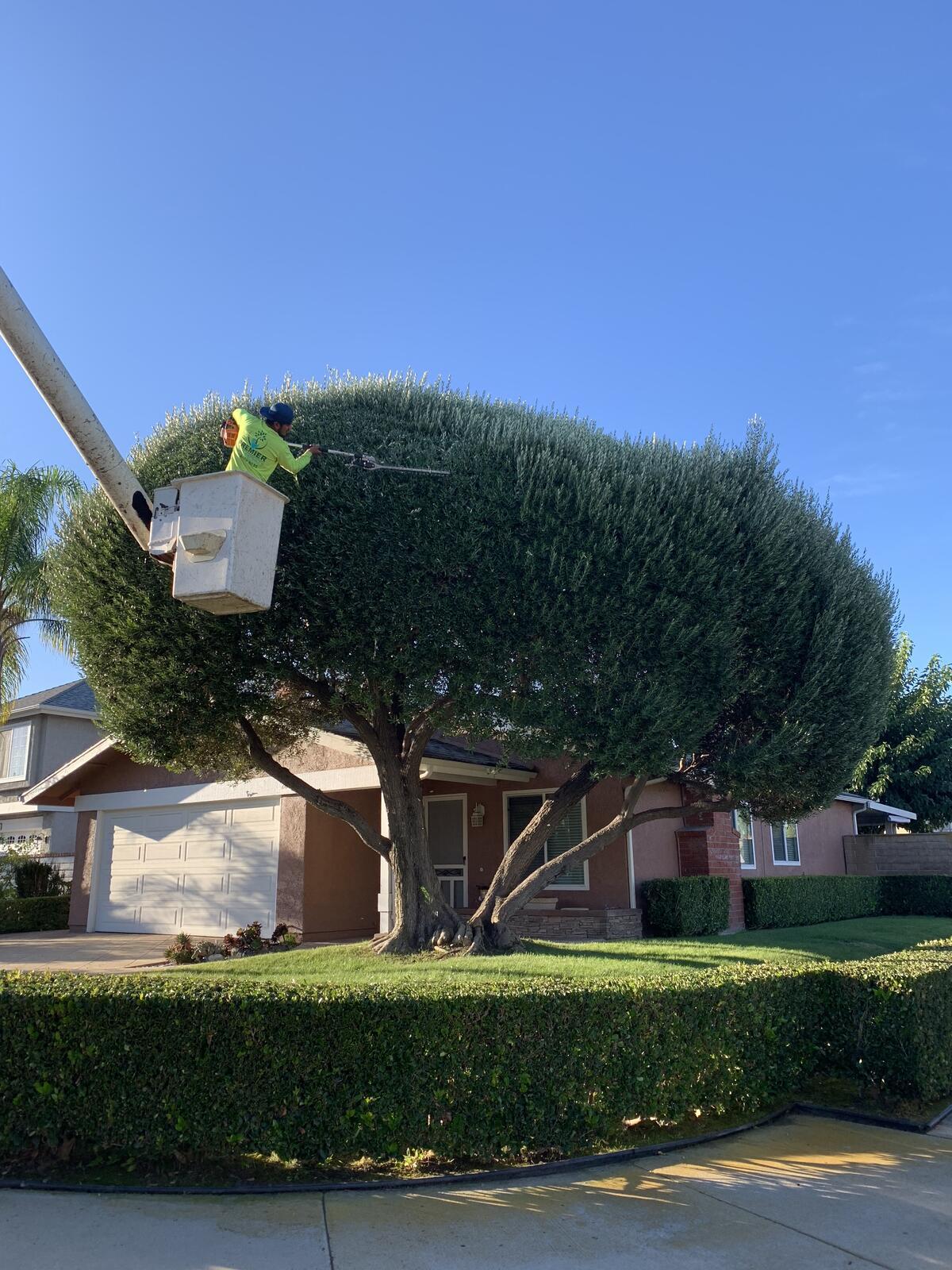 Photo credit: nextdoor