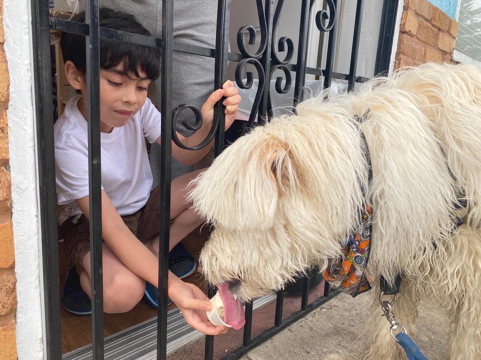 Photo credit: nextdoor