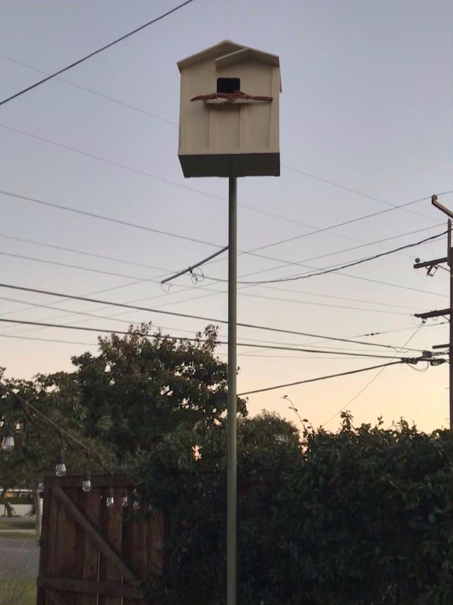 Photo credit: nextdoor