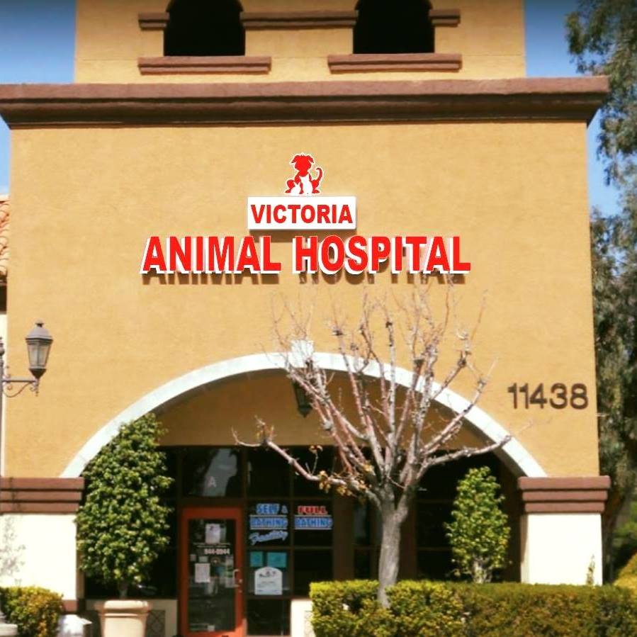 Victoria Animal Hospital