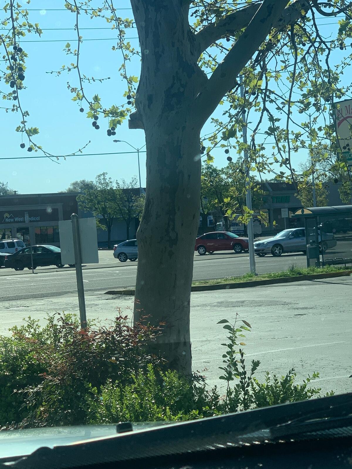 Photo credit: nextdoor